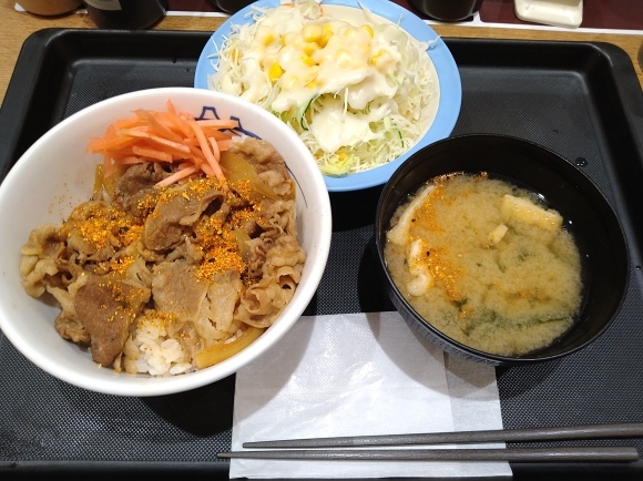 11 1夜勤前飯 松屋 牛めし並 生野菜サラダ 480 無駄遣いな日々