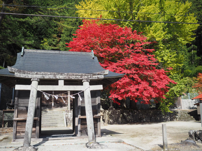 徳山神社の紅葉_f0169147_15583705.jpg