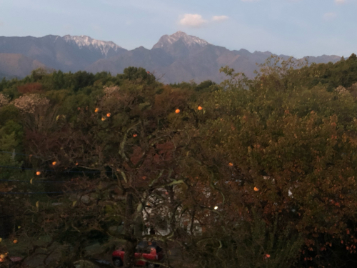 秋が彩りを増して、後は雪が降るのを待つだけです。真っ白な山、甲斐駒ヶ岳、八ヶ岳、富士山、を待ちます。_d0338282_10131098.jpg