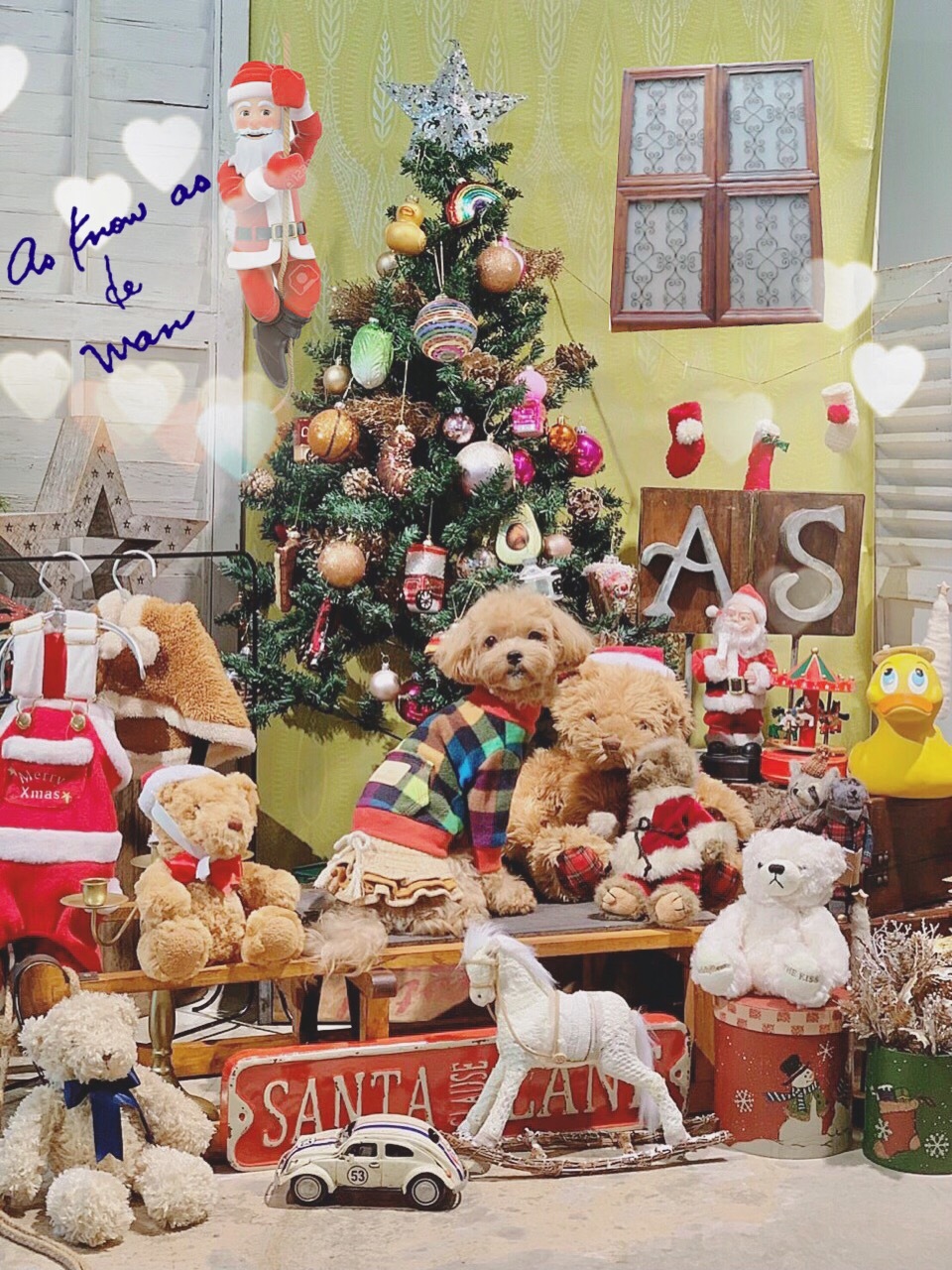 1点限り♡未使用　新作　クリスマススタンプ&ダイ　スタンピンアップ 🎄しろたんクリスマスフェア2022スタート🔔 - しろたん 公式