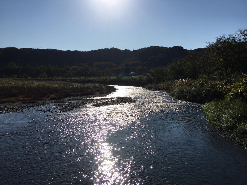11月はいろいろ_b0241033_07402737.jpg