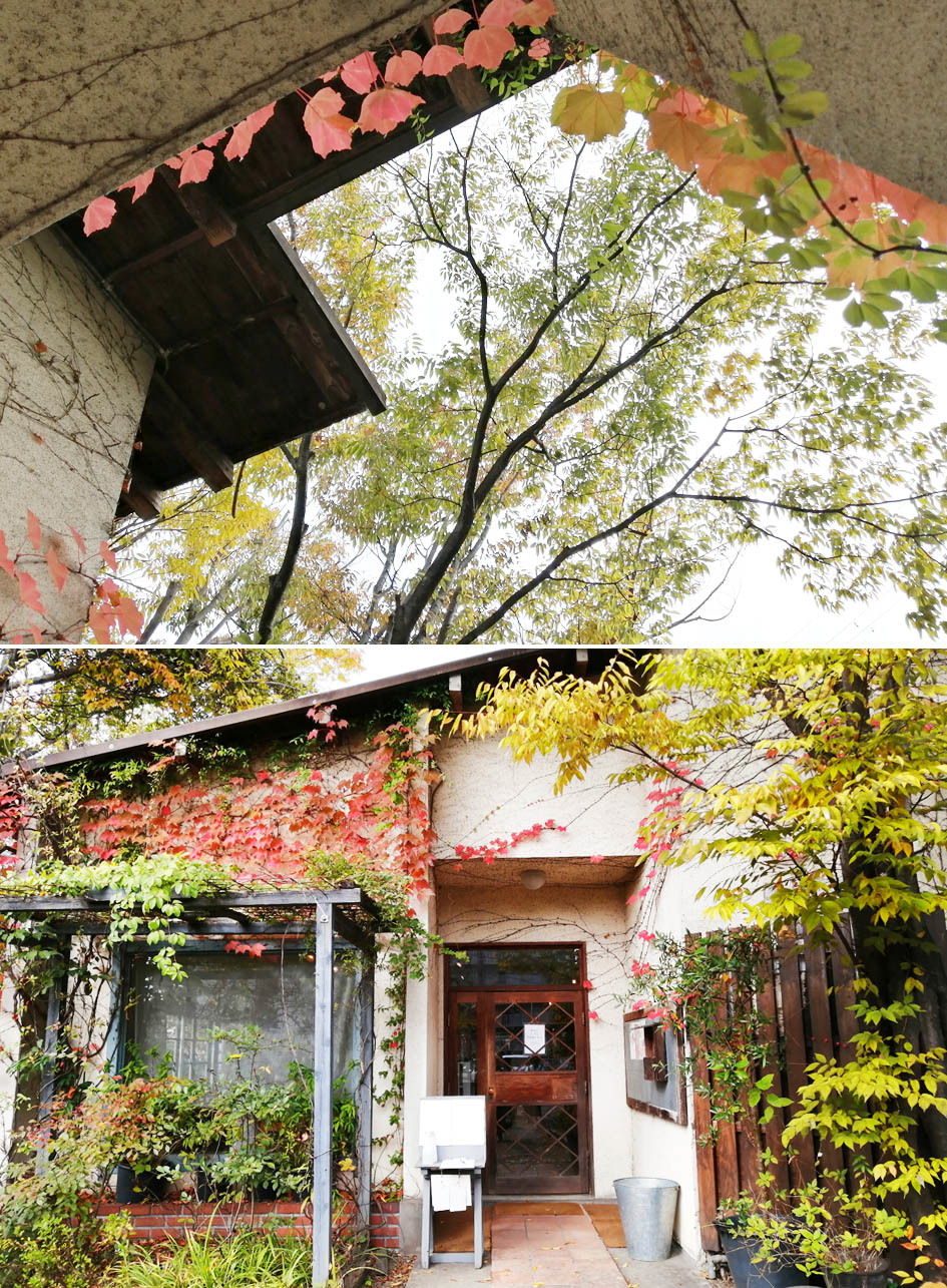 奈良カフェ「くるみの木」と初対面_d0351435_06514871.jpg