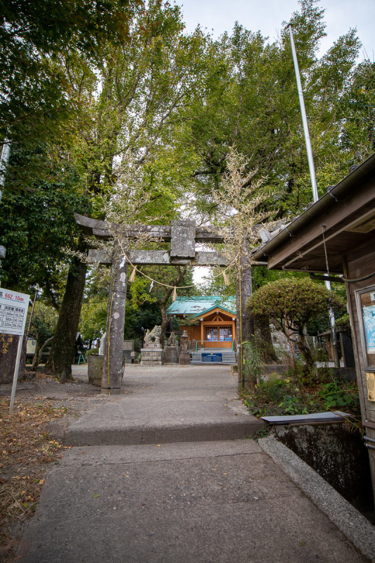 高知からグロムで行く、阿蘇の旅 その7【金峰山】_a0077663_01224447.jpg