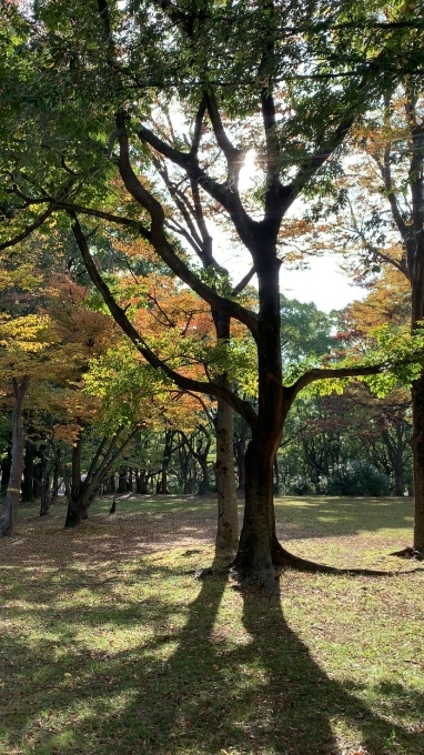 今月もよろしくお願いいたします！_f0152875_09281160.jpg