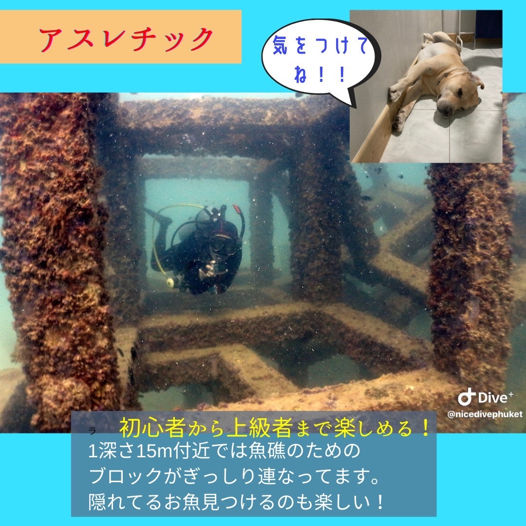 プーケットのダイブサイト【ラチャヤイ島】_f0144385_21524179.jpg