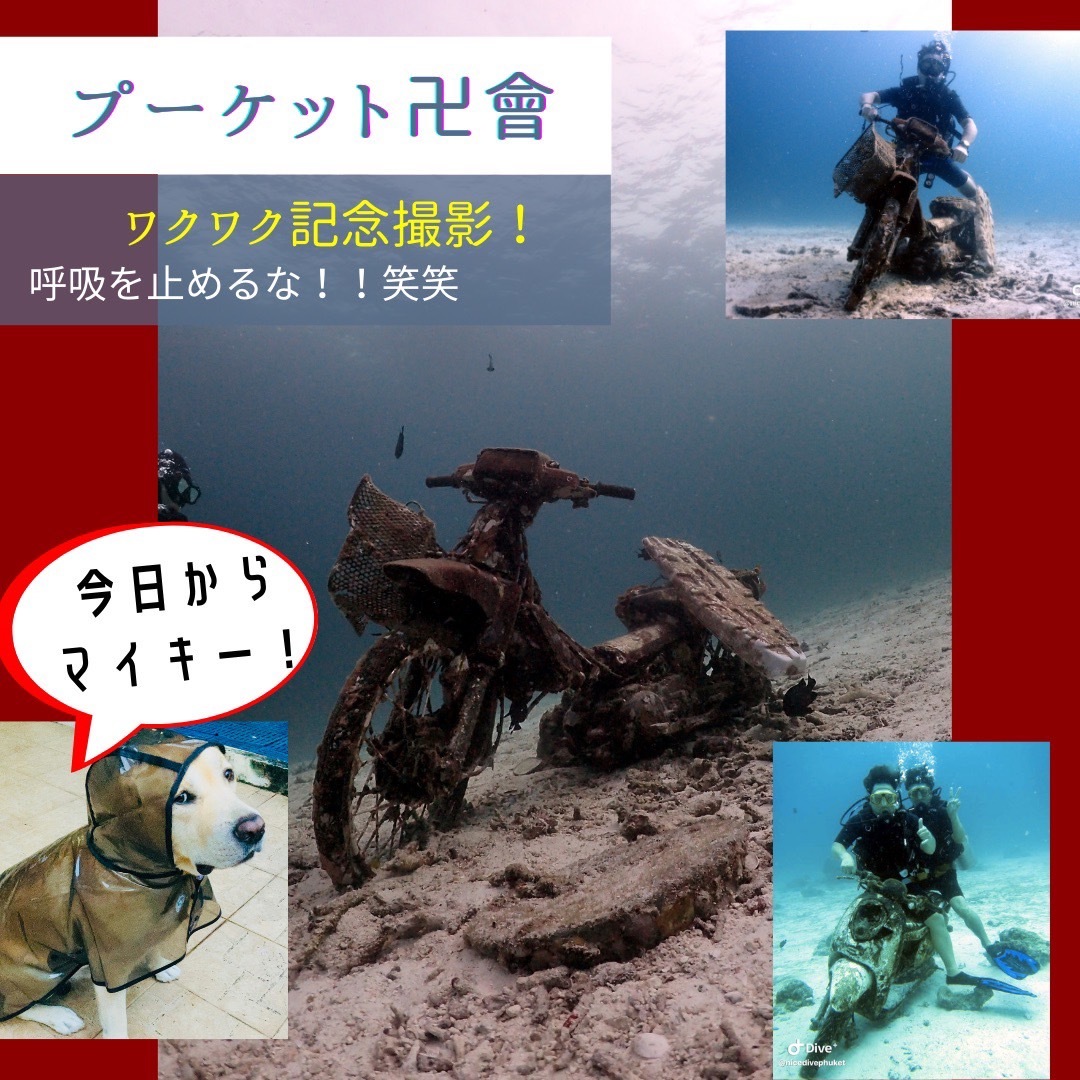プーケットのダイブサイト【ラチャヤイ島】_f0144385_21524183.jpg