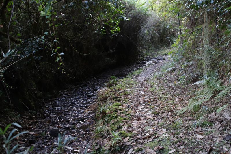 　ミノウラガ岳への道　秋景色_e0048413_17424575.jpg