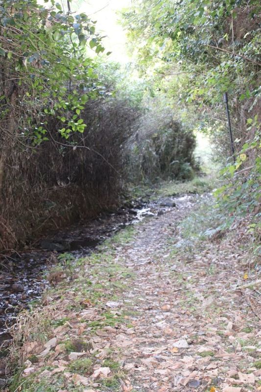 　ミノウラガ岳への道　秋景色_e0048413_17430178.jpg