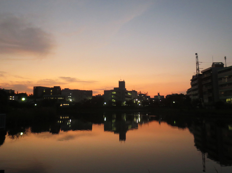 ■週半ばの夕暮れ──鏡面暮景、そして「おーい」って呼び掛けること_d0190217_22112518.jpg