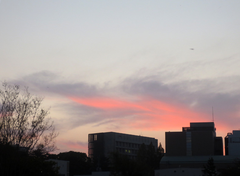 ■週半ばの夕暮れ──鏡面暮景、そして「おーい」って呼び掛けること_d0190217_22121573.jpg
