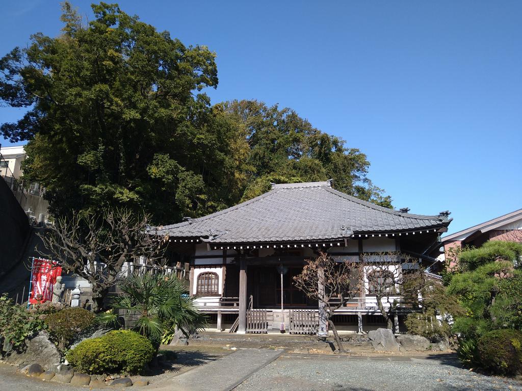紅葉と展望の近隣散歩 2 神奈川徒歩々旅