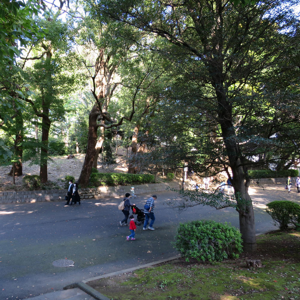 上野のお山で古墳登山 #アーバンアルピニスト_c0060143_14482313.jpg