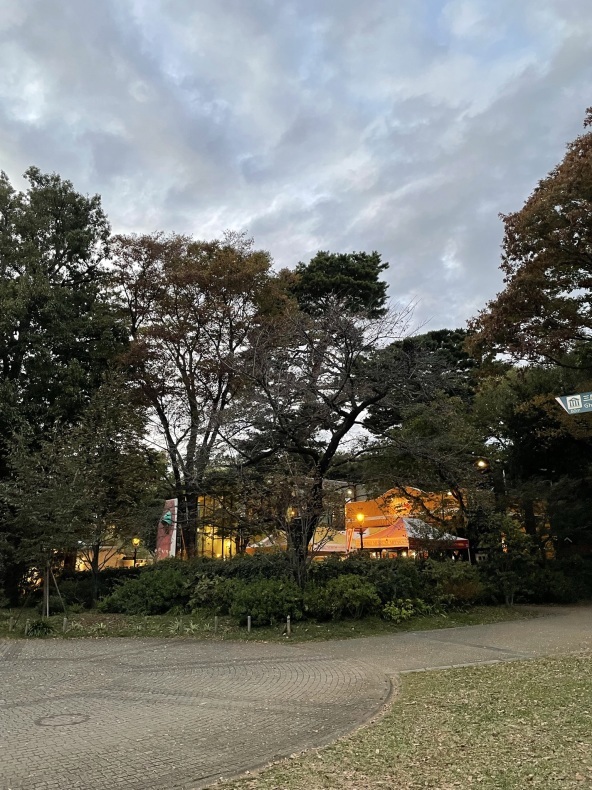 夕方の散歩 雲の中で散歩