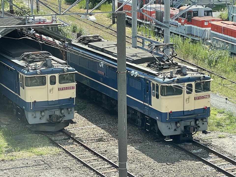 新鶴見機関区に行ってきたよ : C級呑兵衛の絶好調な千鳥足