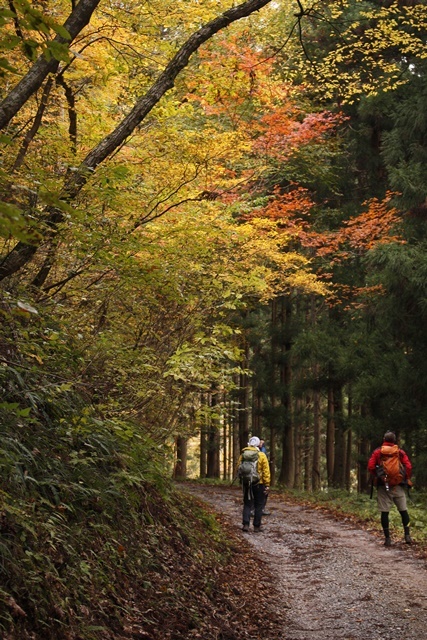 越える山はもう一つ_a0249451_21240049.jpg