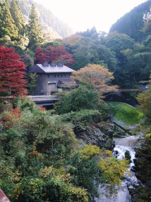 紅葉狩りシーズン到来!!(2021) 菊池渓谷の紅葉は週明け(11/8)以降が見ごろです!_a0254656_17302196.jpg