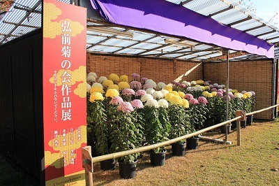 「弘前城菊と紅葉まつり」開幕!!_2021.11.01撮影_d0131668_09055038.jpg
