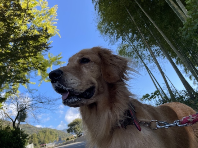 休日。_a0394574_13294410.jpeg