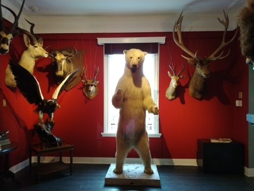 北野異人館めぐり~生田神社 : 響の言葉