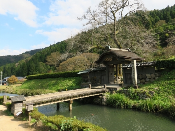 福井県勝山市　手打ちそば　八助（はちすけ）_e0271890_22102150.jpg