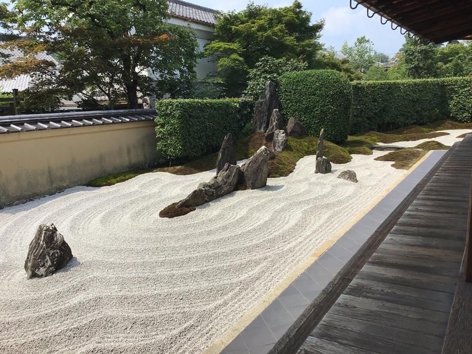 花一輪に飼い慣らされて_c0203401_15185846.jpeg