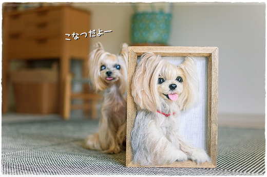 こなつそっくりな仔が我が家にやって来た。_d0179828_09431105.png