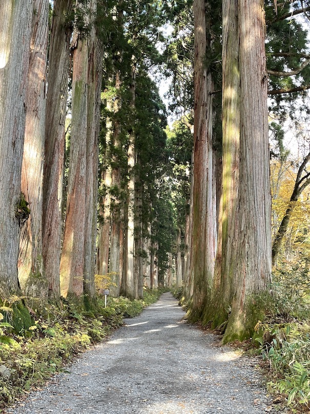 大学の被害者支援専門演習で護身法。人には元々力がある！Wen-Doで実感_e0024978_11485351.jpg