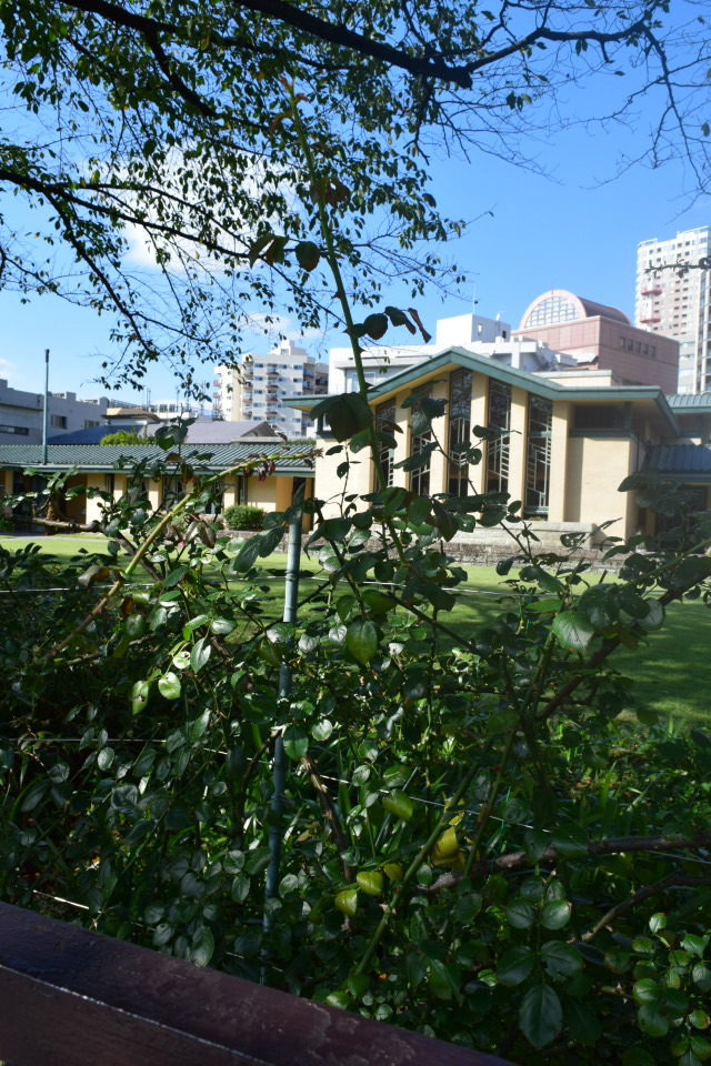 東京豊島区の自由学園明日館(大正モダン建築再訪2021)_f0142606_01502016.jpg