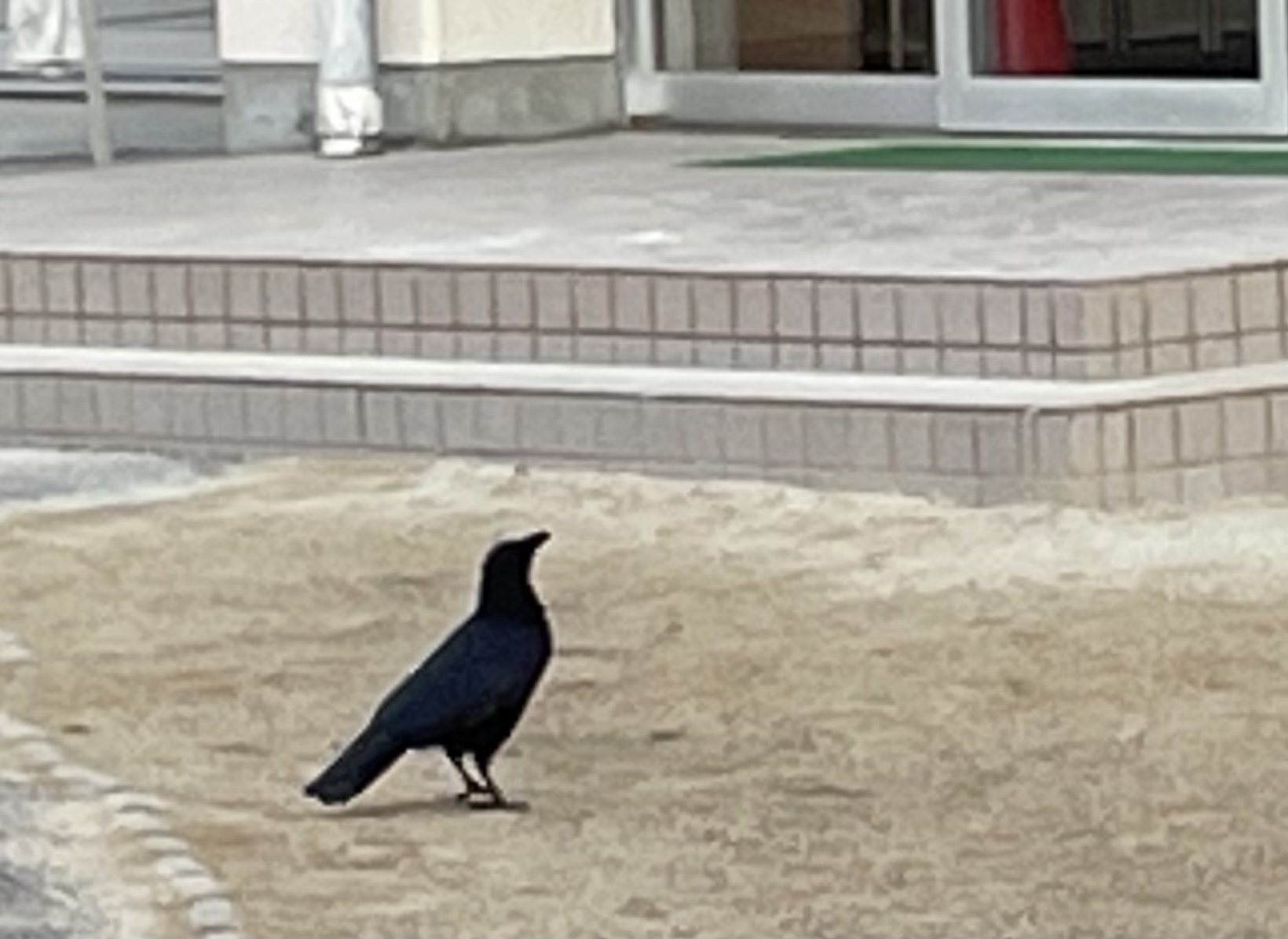 しぶしぶの朝にも。_a0394574_20152272.jpeg