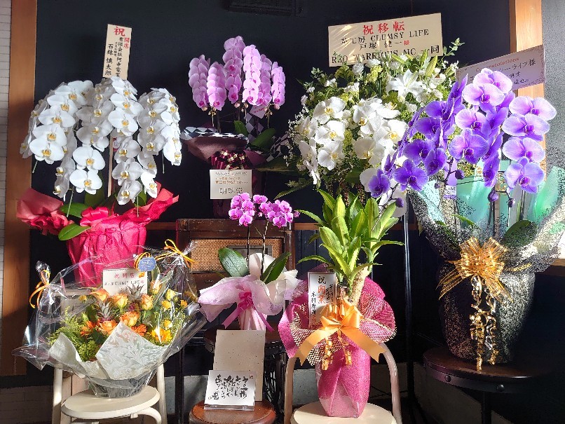 ブログ引っ越し後の近況報告③_a0111597_07162123.jpg