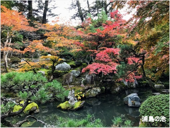 * 美しい日本庭園の紅葉 *_d0317115_22123513.jpg