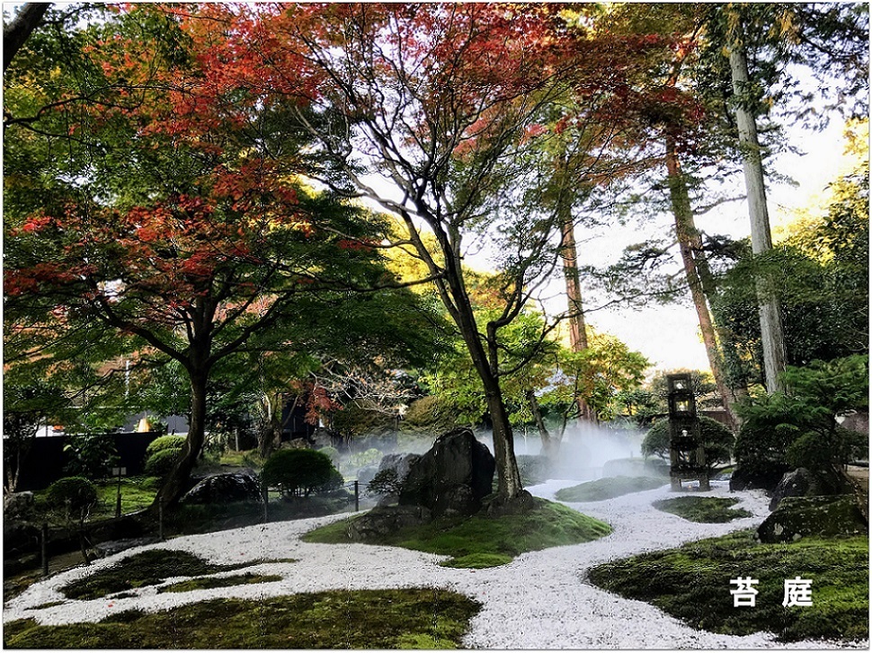 * 美しい日本庭園の紅葉 *_d0317115_22161379.jpg