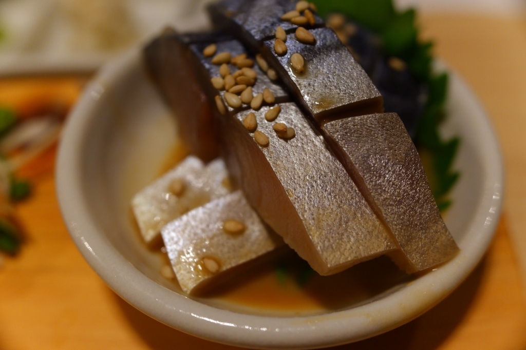 北帰行 苫小牧~札幌 10月28日_f0050534_14575573.jpg