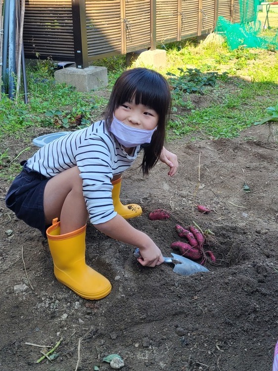 【たんぽぽ温泉デイ】芋掘りパーティー♪♪_e0196839_17333799.jpg