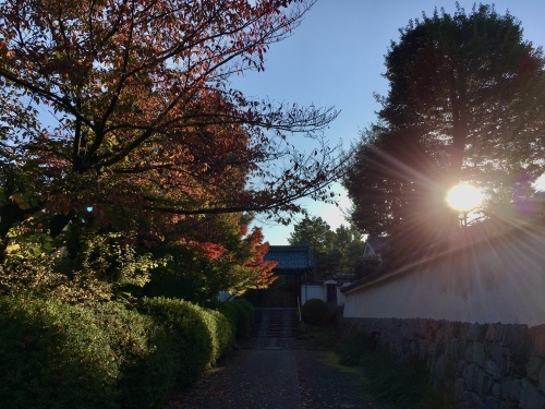 立冬 建仁寺 両足院 坐禅の会_b0153663_13032358.jpeg