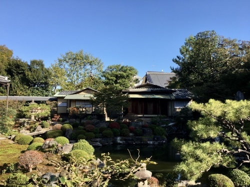 立冬 建仁寺 両足院 坐禅の会_b0153663_13035041.jpeg
