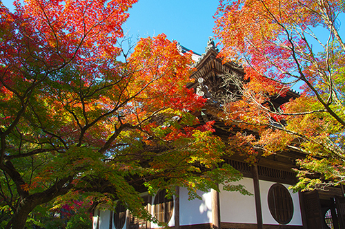 秋の宝福寺_d0107763_19590677.jpg