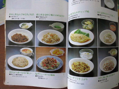 栄養学は冷凍品なのか。_b0141773_22505662.jpg
