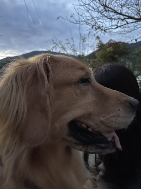 静かに。_a0394574_22065116.jpeg
