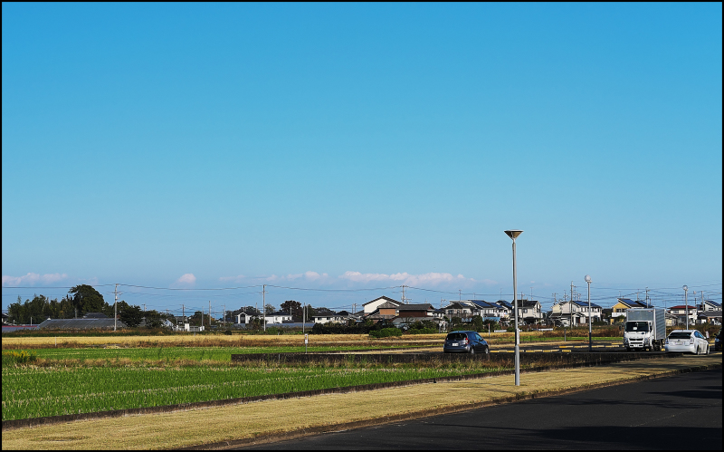 長閑な風景_c0405385_15190886.jpg