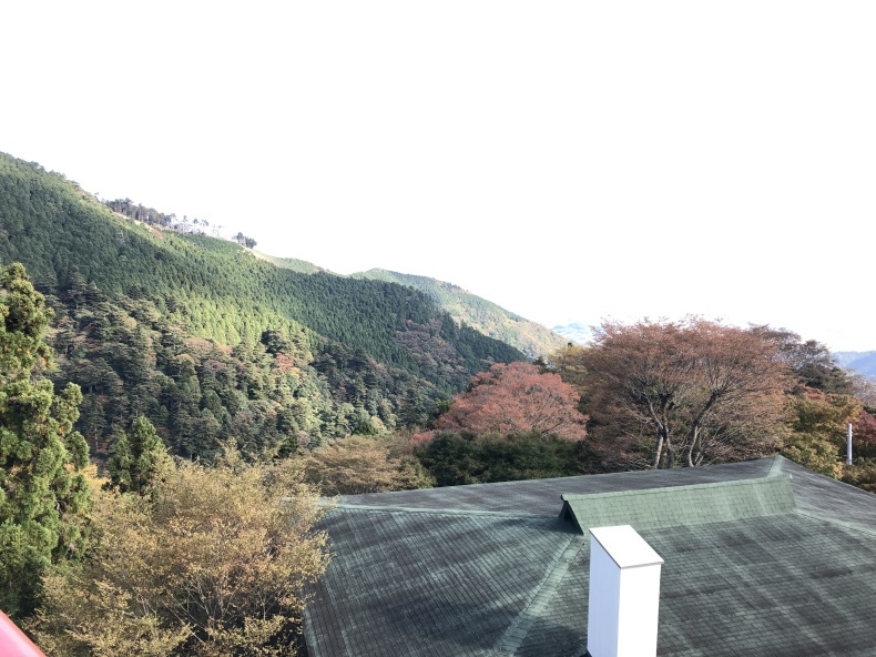 大山阿夫利神社　木質感_a0129492_04593052.jpeg