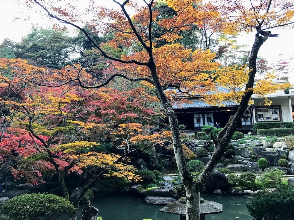 * 美しい日本庭園の紅葉 *_d0317115_13531785.jpg