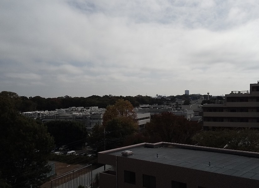 面談しませんか に 明日でも良いですが のお返事 結婚相談室代表の喜怒哀楽日記