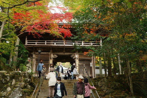 四国八十八ヶ所霊場_a0279319_18561164.jpg