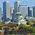 維新勝利の分析と試論 – なぜ大阪は新自由主義への逆戻りを選んだのか_c0315619_13455168.png