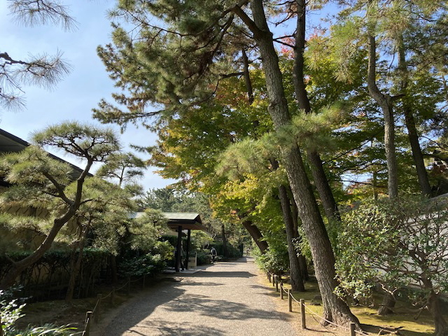 三渓園菊花展へGO!☆_a0078827_18105957.jpg