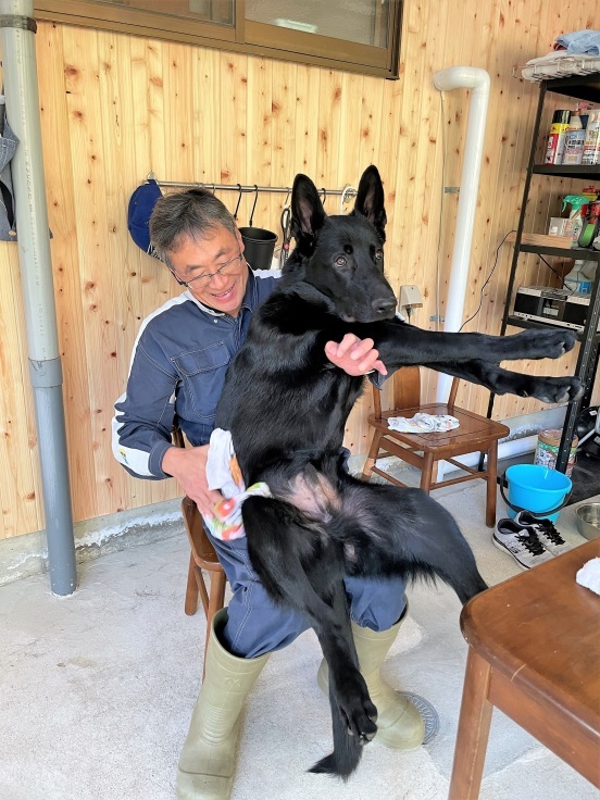 新型S4誕生に備え心を落ち着かせる_f0076731_20361677.jpg