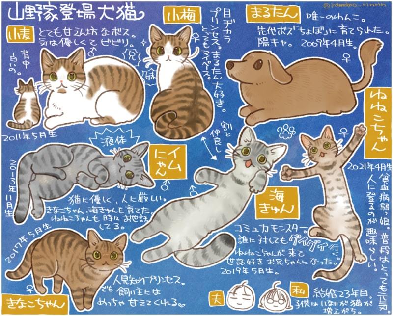 ねねこちゃん闘病記10「あとちょっと?」_d0118933_14524524.jpg