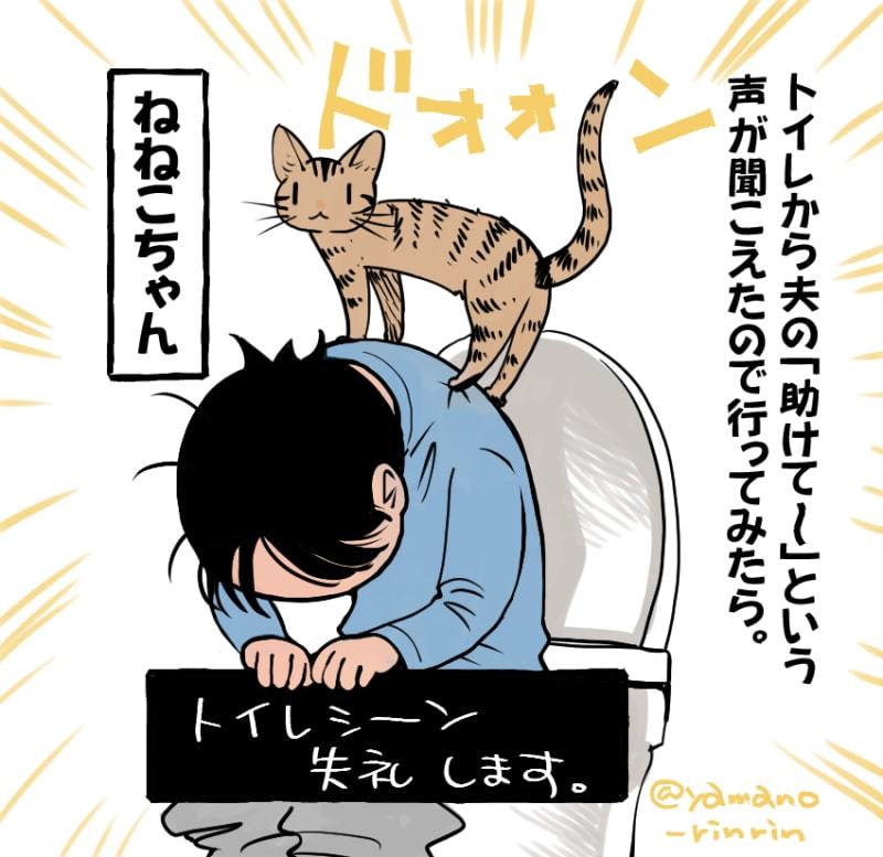 ねねこちゃん闘病記10「あとちょっと?」_d0118933_14524866.jpg