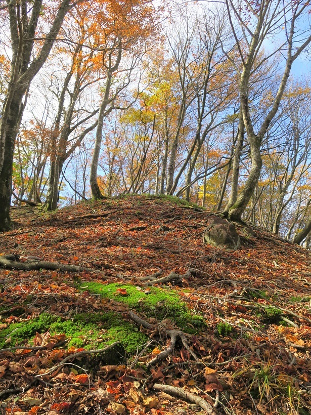 御在所岳北西尾根（鈴鹿）_a0286351_22042531.jpg